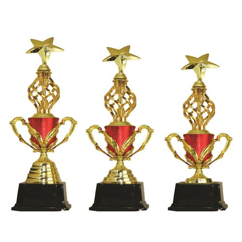 Trophies & Award